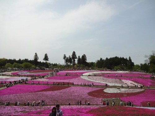 DSC01376 (640x480).jpg