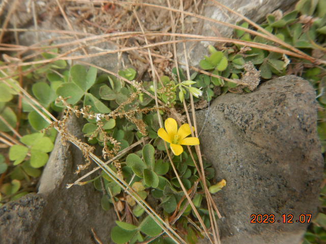 DSCN8013.JPG