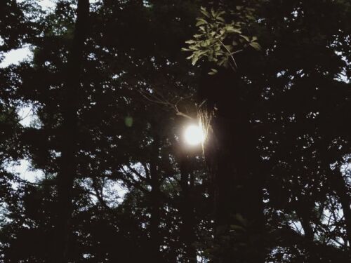 250708light1.jpg