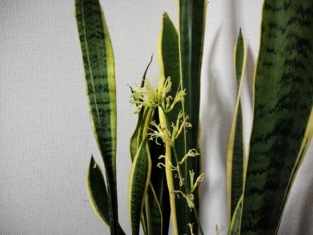 Image1357114738324.jpg