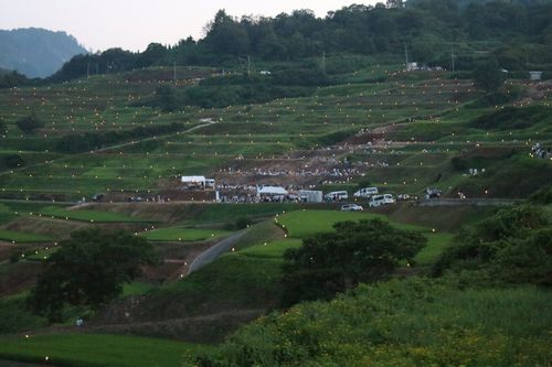 80214大蔵村黄昏時のほたる火500.jpg