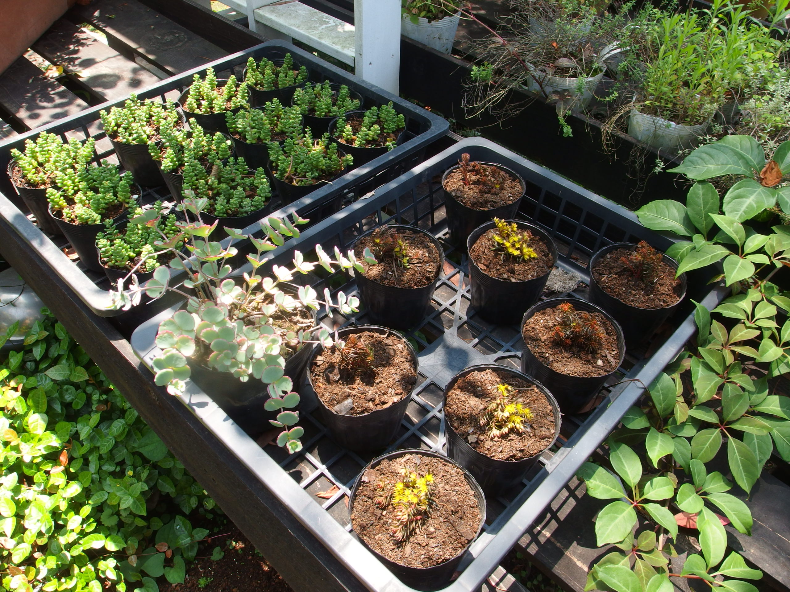 2015-06-24 10.13.43.jpg