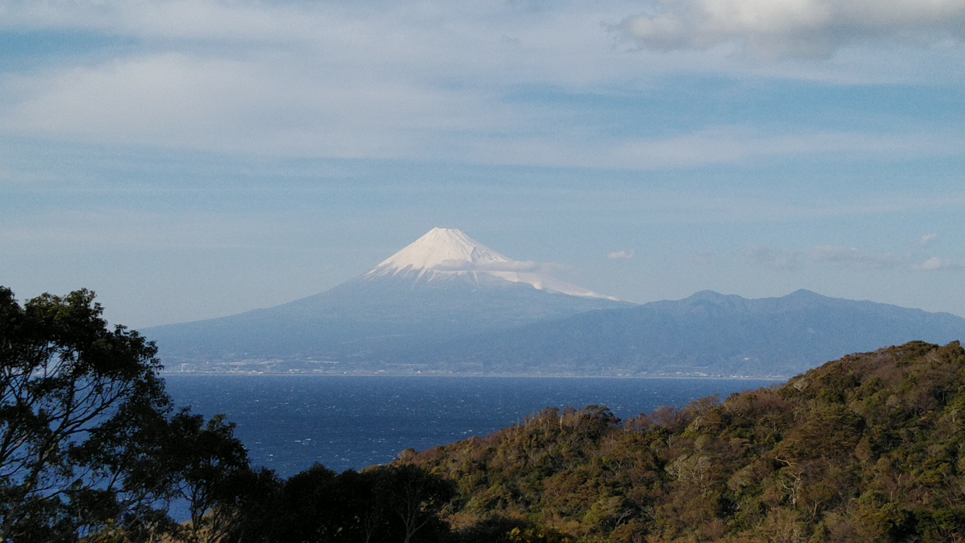 20190309  DSC_0012.jpg.jpg