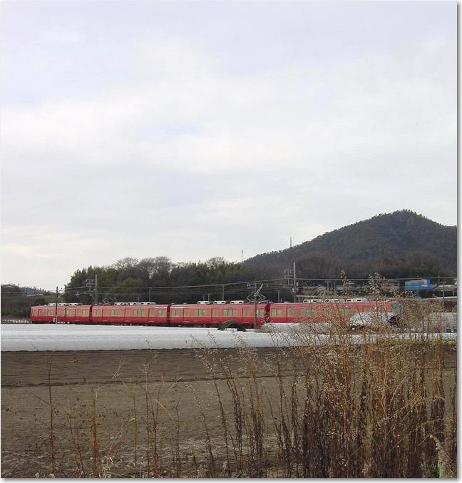 11ススキと四両編成