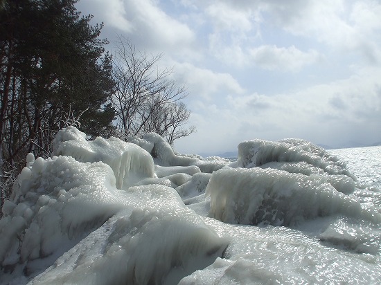 DSCF4600.jpg