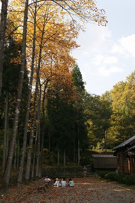 DSC01988.jpg