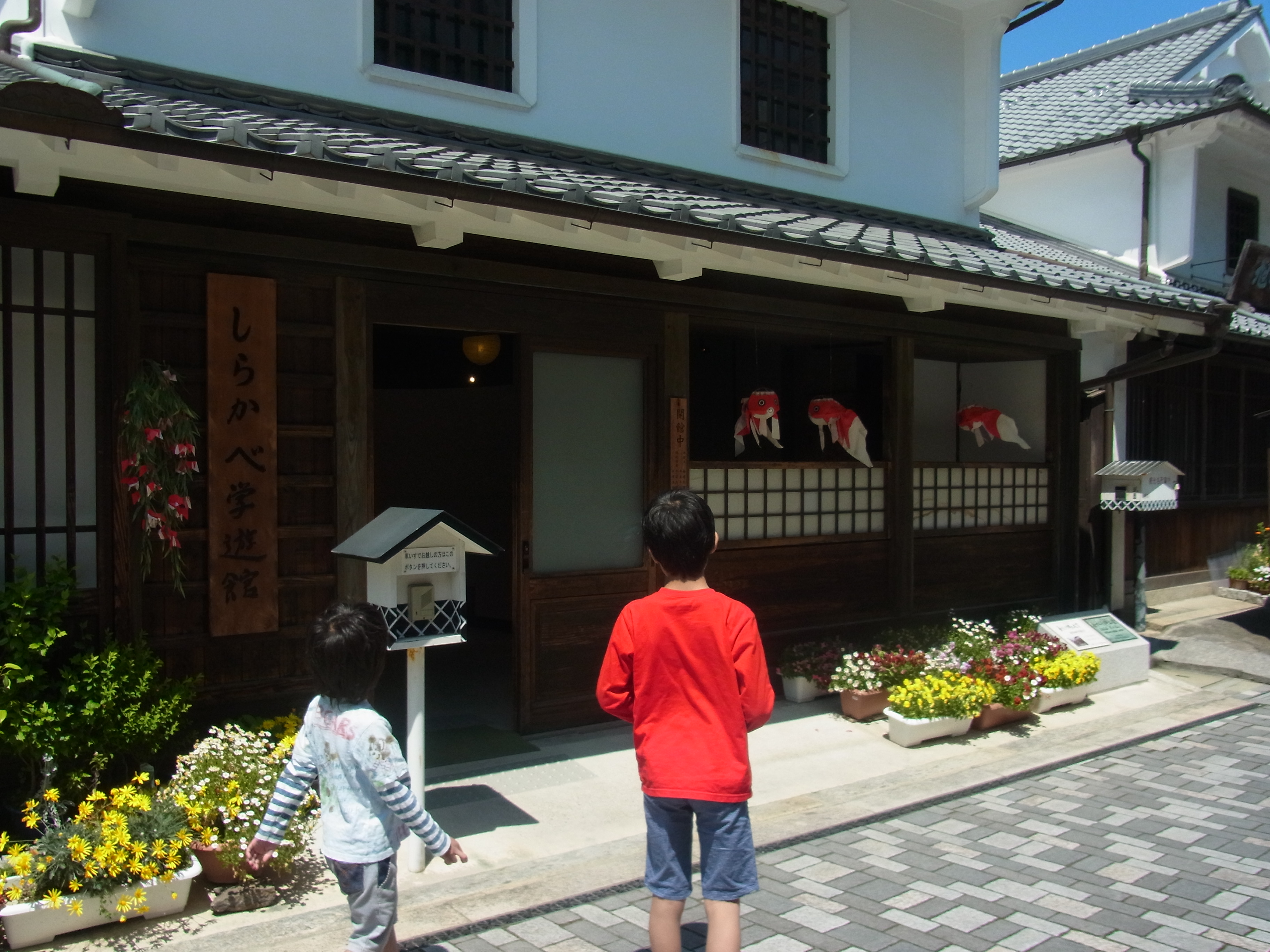 RIMG0741.JPG