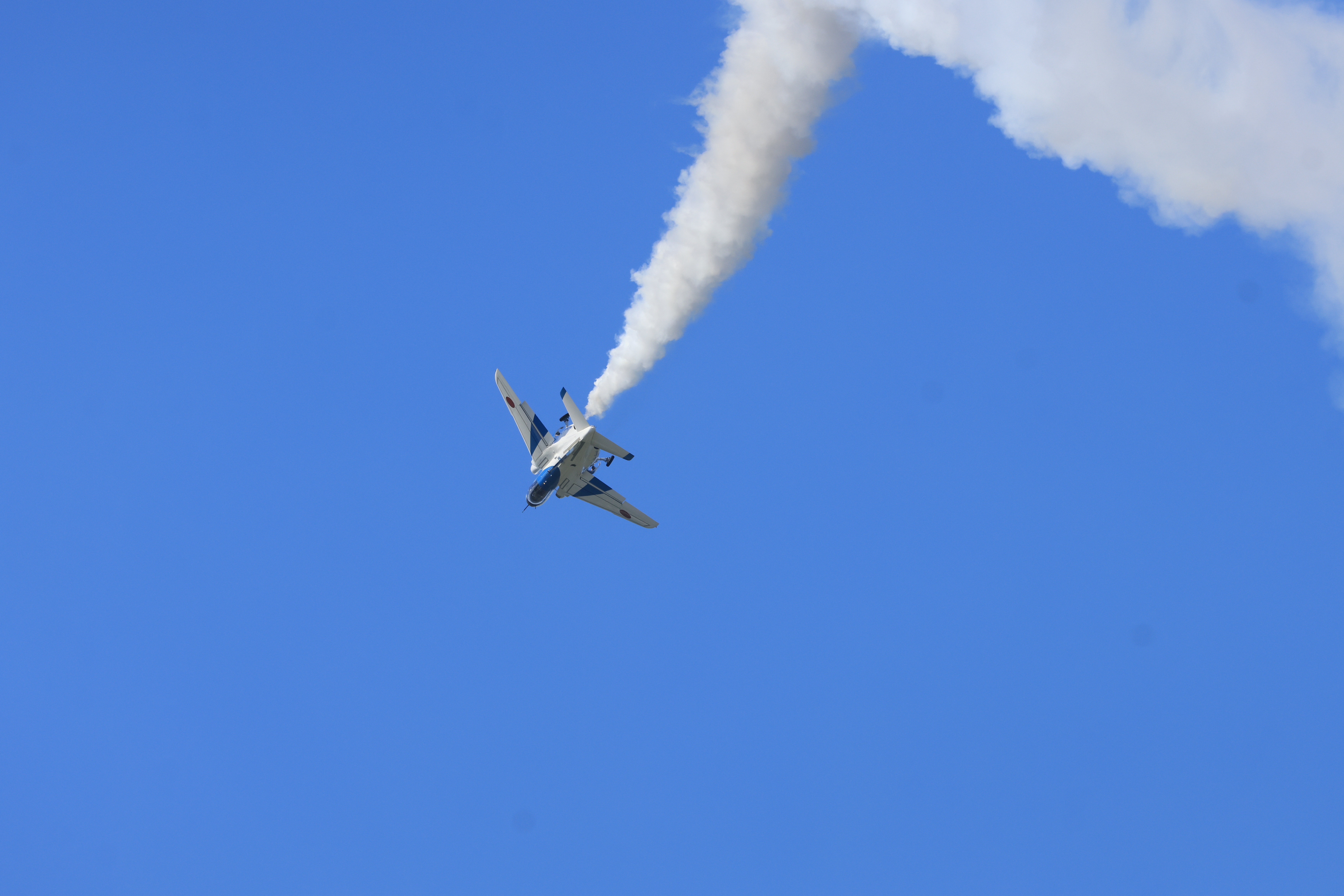 195A6686.JPG