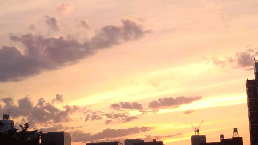 ビル平線と夕焼け2014