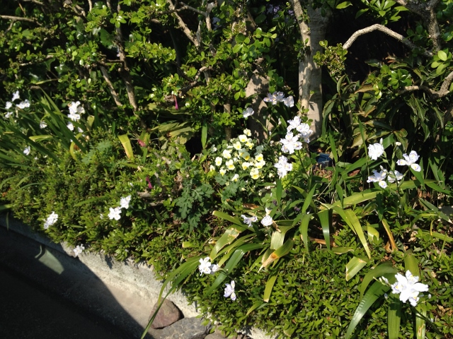 IMG_6997 (640x480).jpg