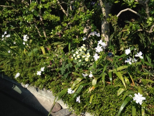 IMG_6997 (640x480).jpg