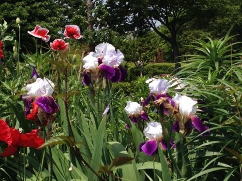 IMG_9071 (640x480).jpg