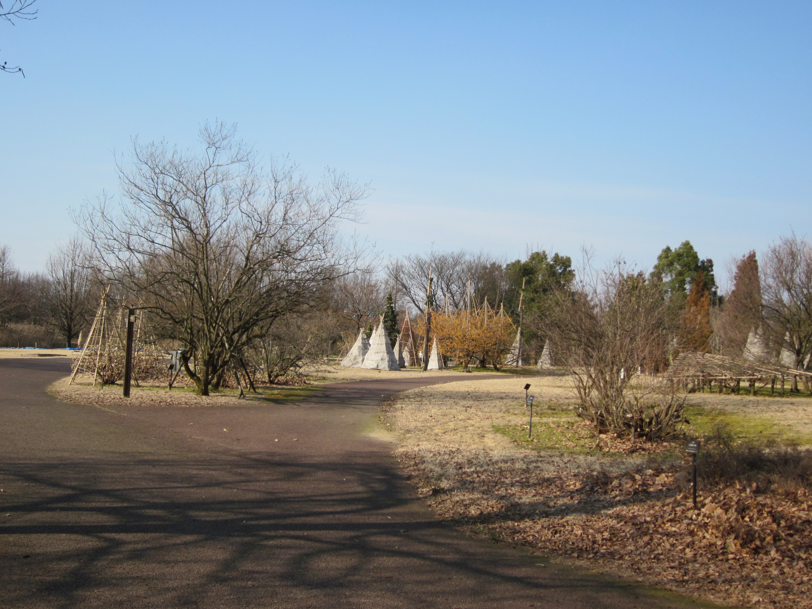 IMG_4506.JPG