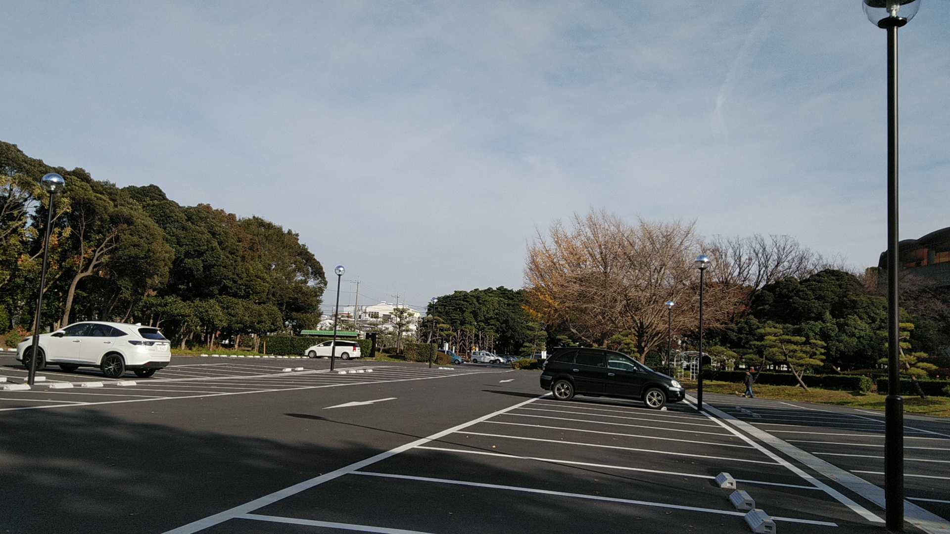 20181225  DSC_0001.jpg.jpg