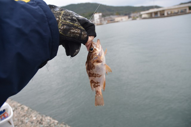 showPhoto (640×426)