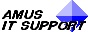 AMUS IT Support