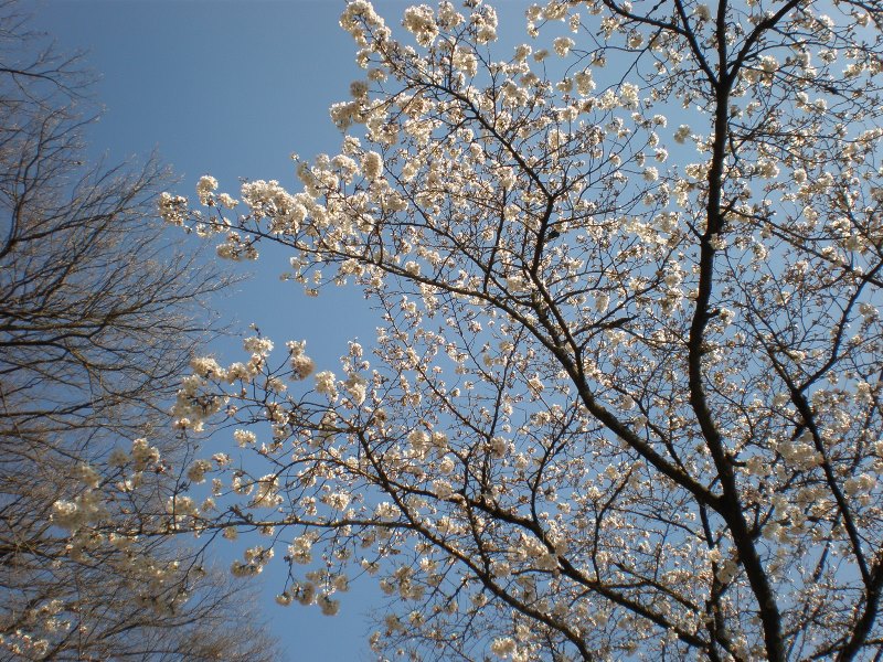 P3285900.jpg-1.jpg