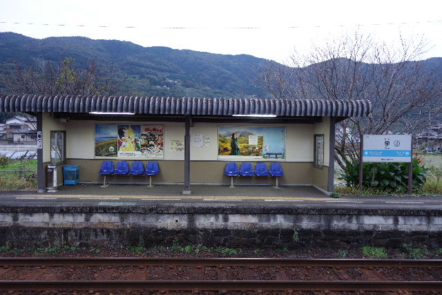 DSC04727.JPG