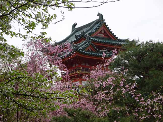 平安神宮 (44).JPG