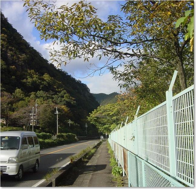 42こんな景色です