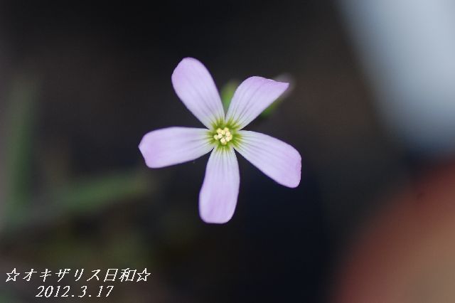 DSC_0408.JPG