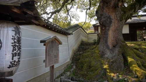 20160323 09491701.JPG