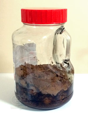 140701 梅シロップ漬けてまる１日