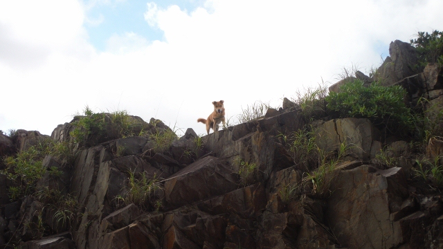 DSCF5626 (640x360).jpg