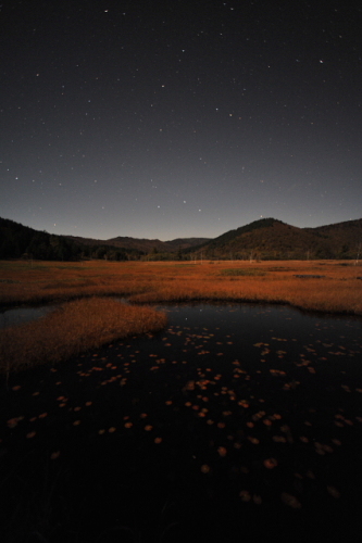 尾瀬の星空201310184.jpg