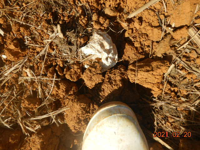 DSCN0554.JPG