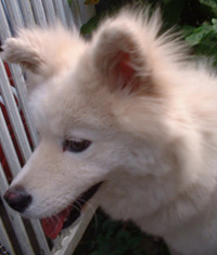 po039.JPG