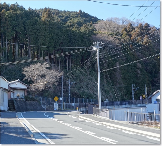33身延線が見えます