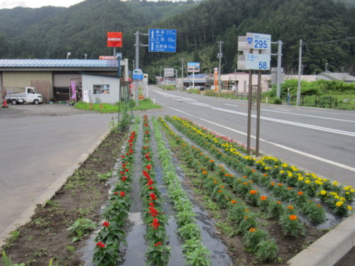 交差点の花壇