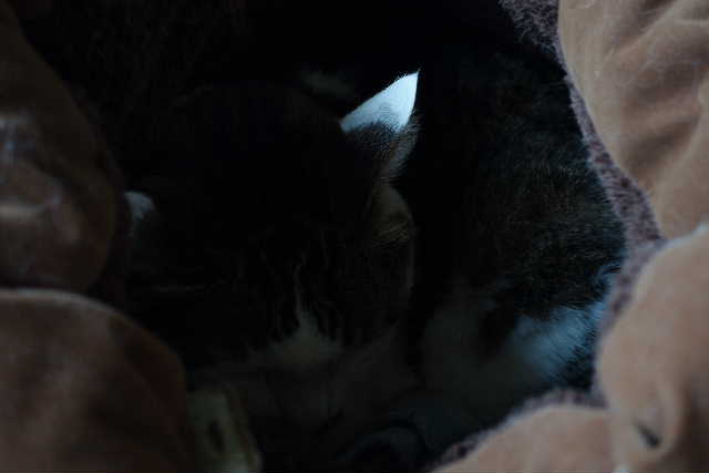 DSC01775.JPG