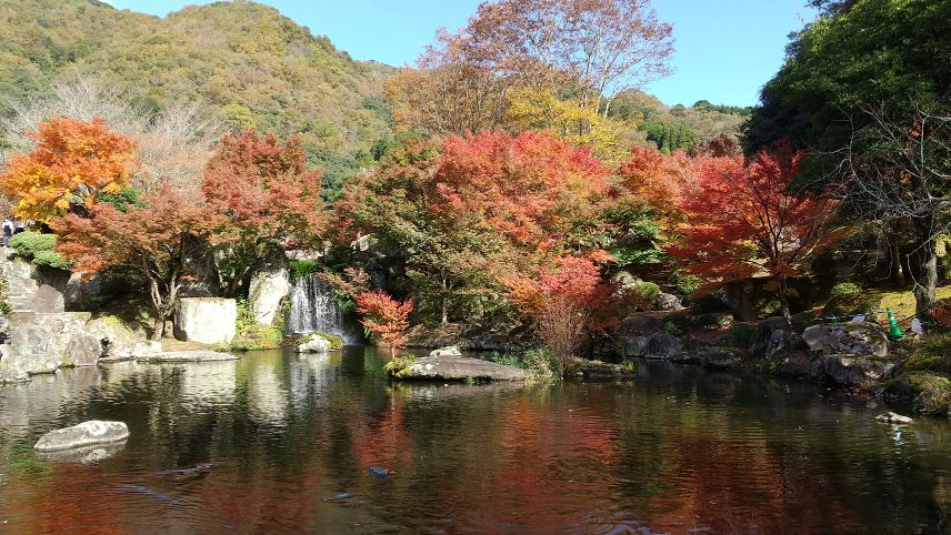 中津ダム渓石園 (3).jpg