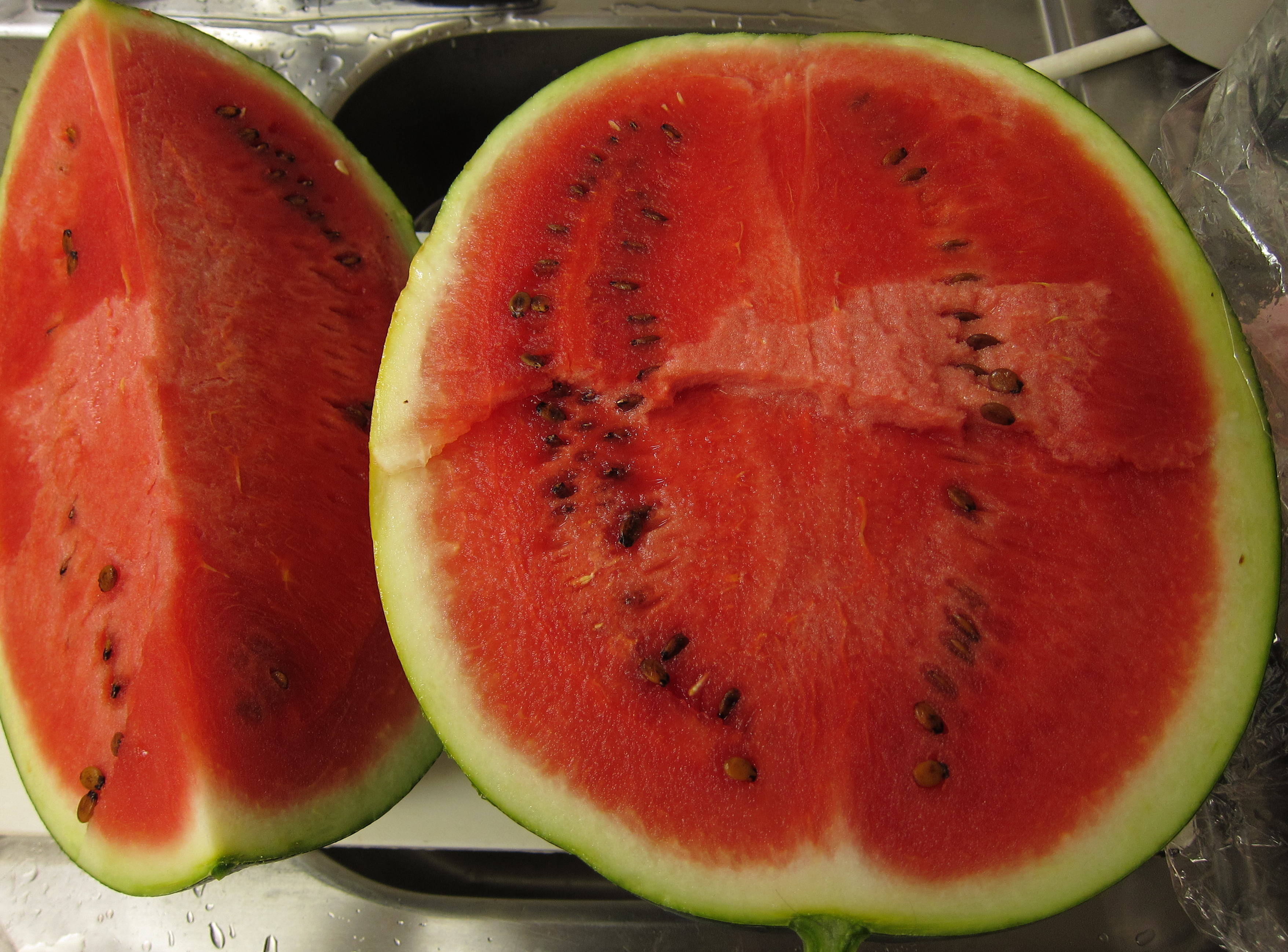 黒玉西瓜-02.jpg