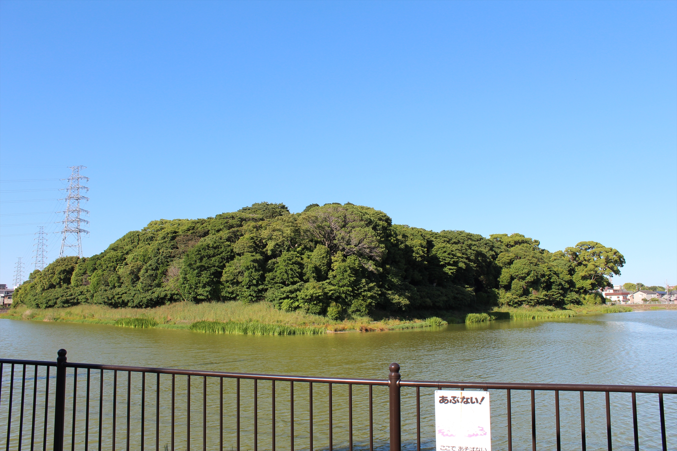 IMG_5416_R.JPG