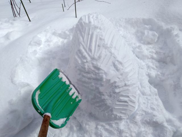 250209snowfig1.jpg