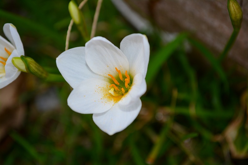 DSC_1012.jpg