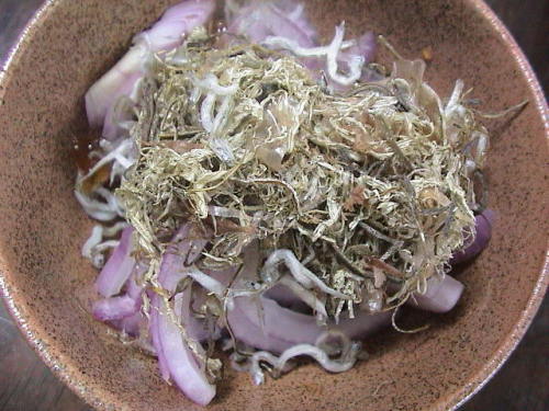 ねこんぶまんま (8).JPG