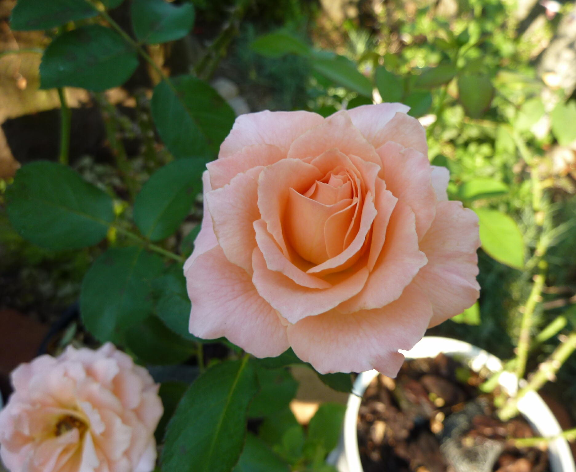130922-6-1.jpg