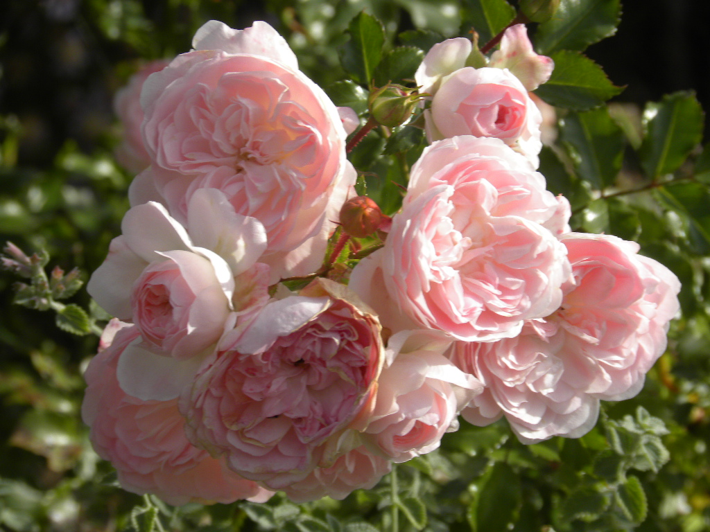DSCN9476.JPG