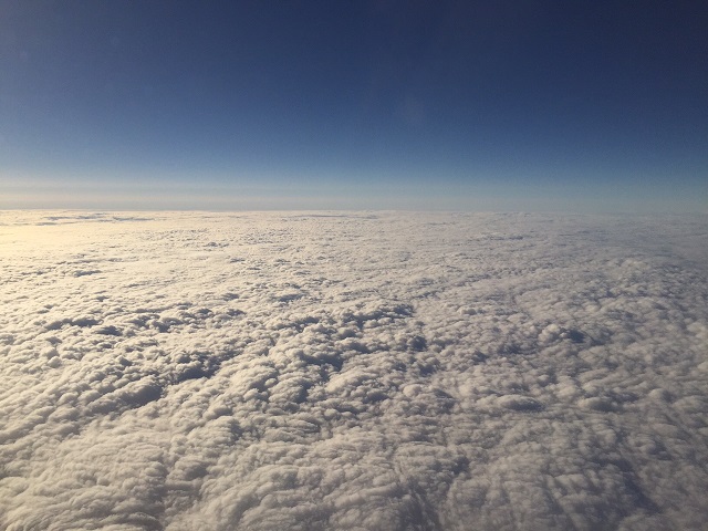 image1.JPG