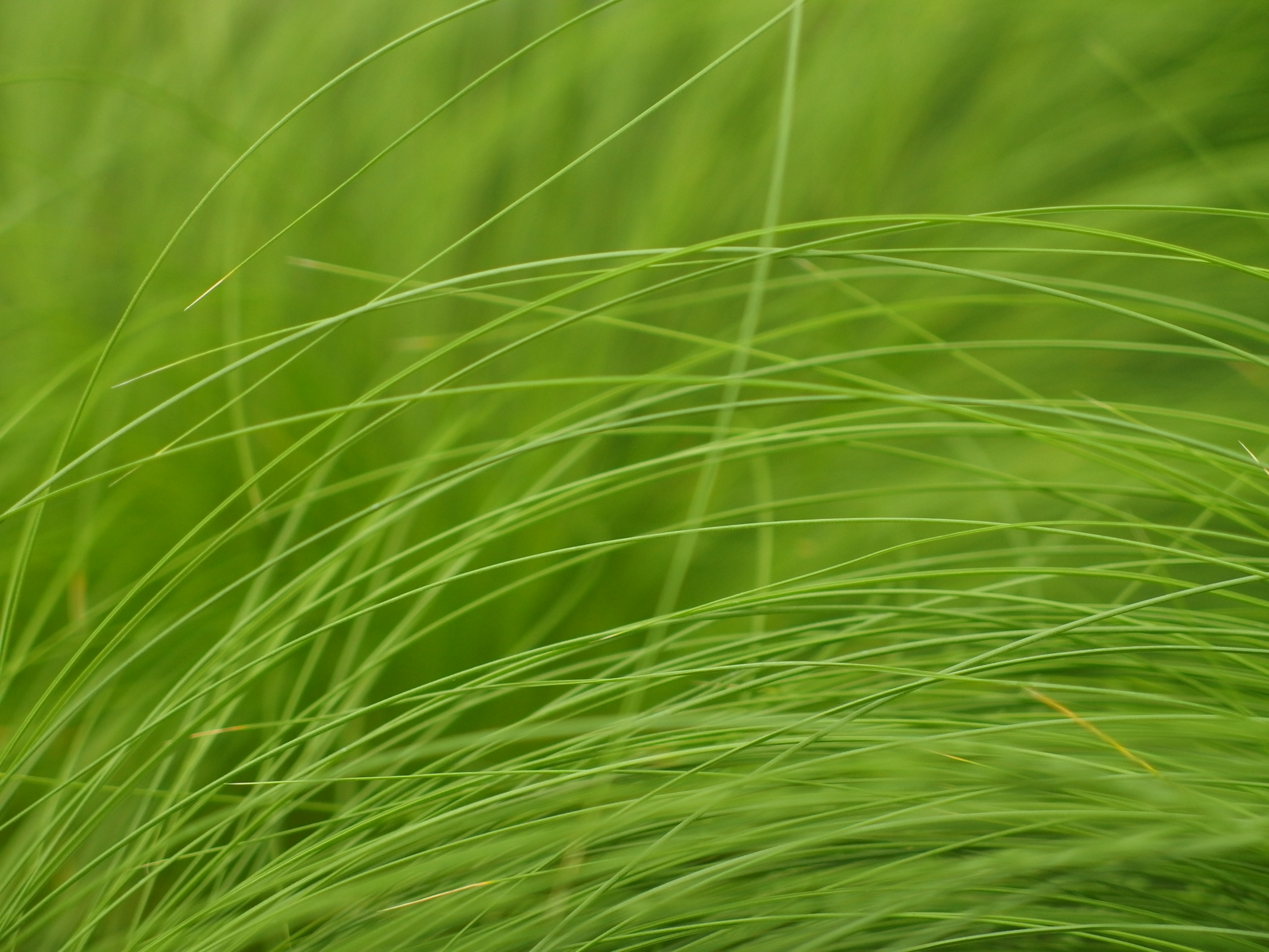 2015-05-29 14.09.12.jpg