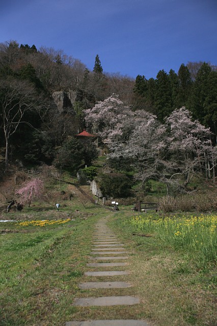 0410-4.jpg