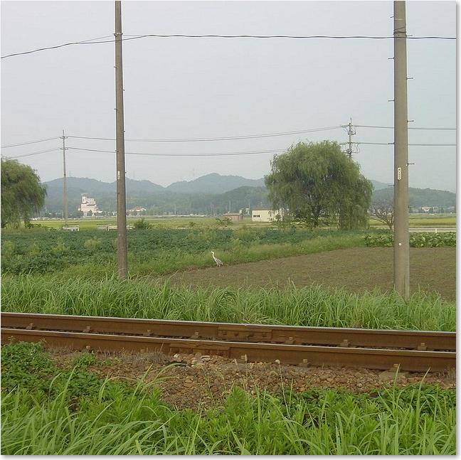 03アオサギと単線