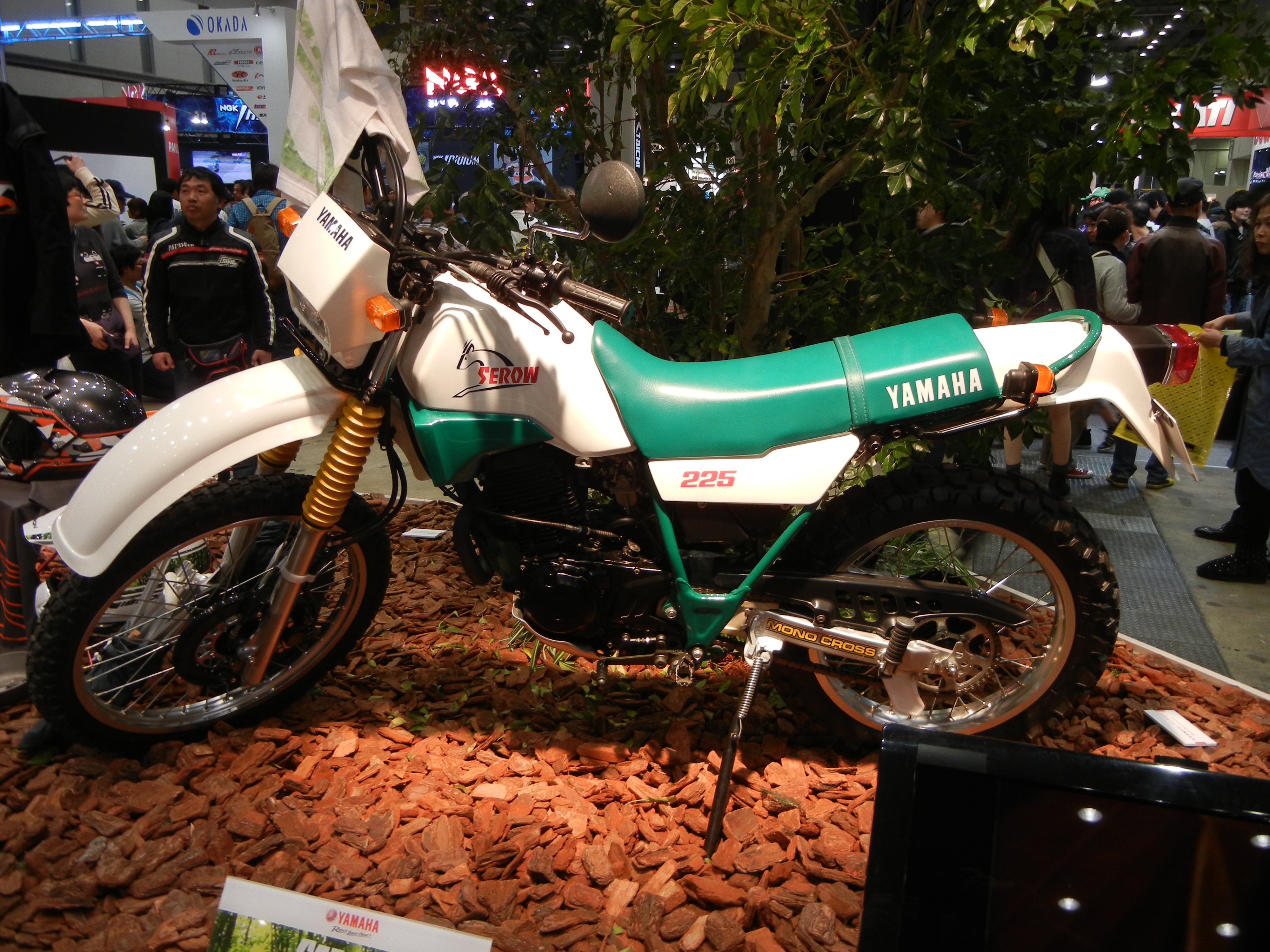 DSCN1005.JPG