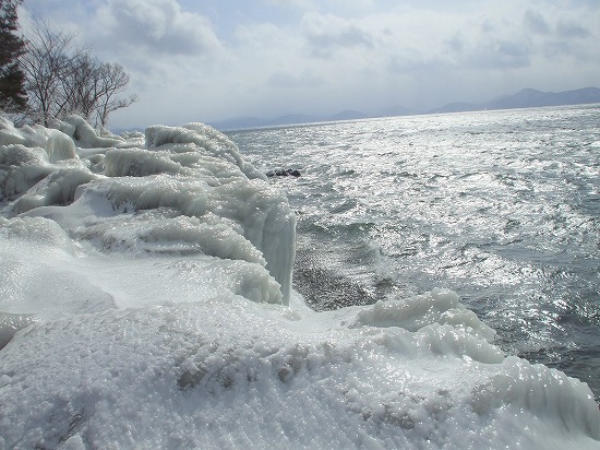 DSCF4596.jpg