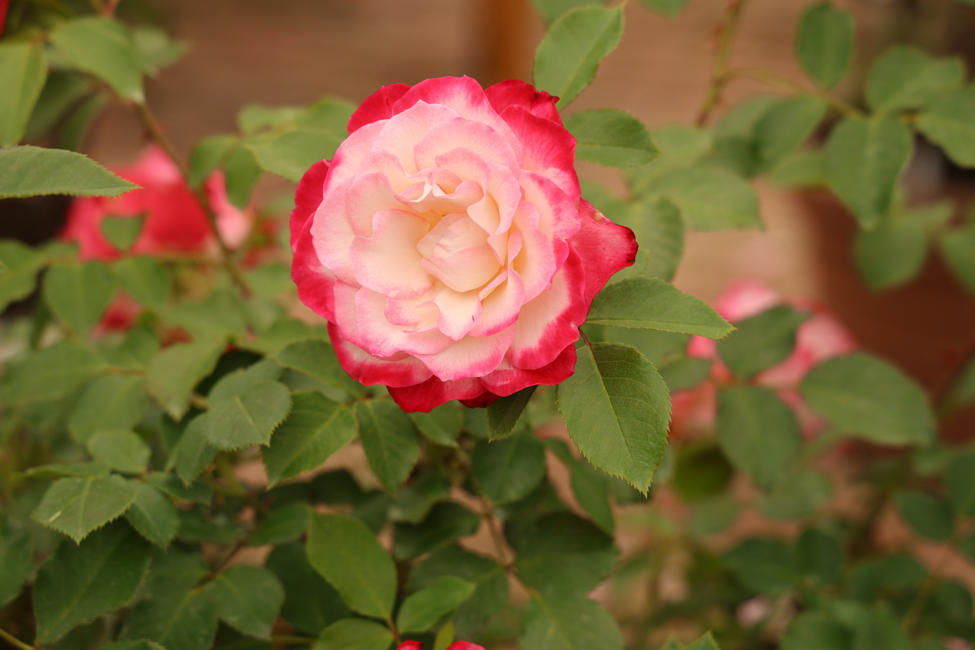3Q9A8072.JPG