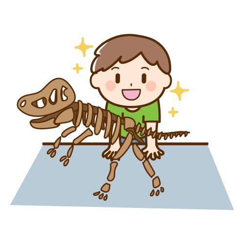 肉食恐竜の化石.jpg